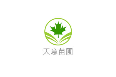 元宝枫小苗价格多少？